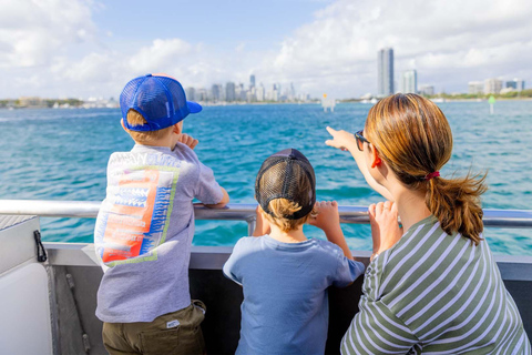 Gold Coast: Sightseeing Hop-on Hop-off Cruise