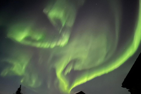 Fairbanks : lodge d'observation des aurores boréales
