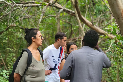 Zanzibar: tour guidato della foresta di Jozani con trasferimento in hotel