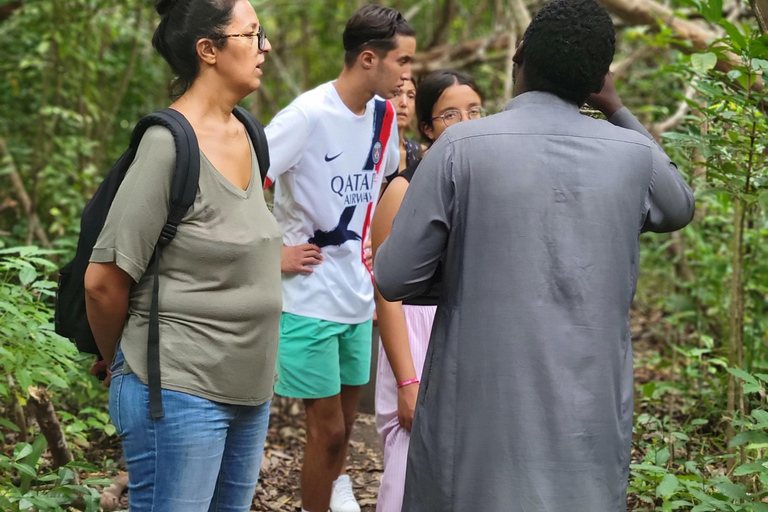 Zanzibar: tour guidato della foresta di Jozani con trasferimento in hotel