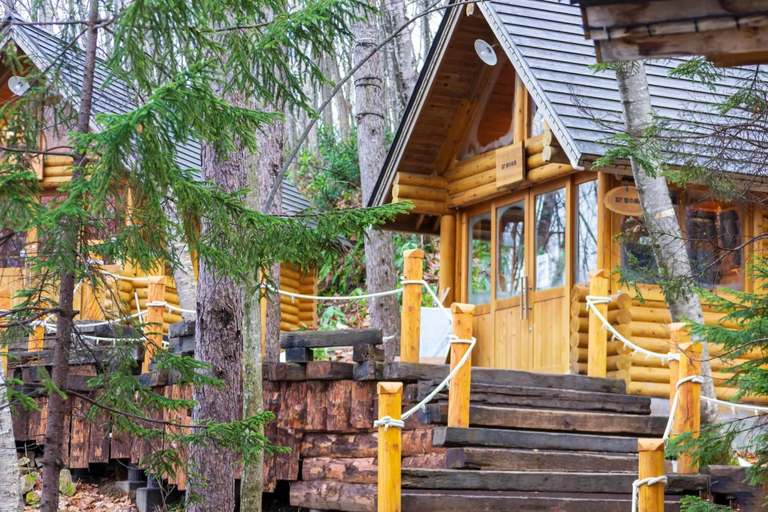 Sapporo:Asahiyama Zoo,Shirahige Waterfall&Blue Pond Day Trip 8:00 am meet at Odori Park subway station exit 31