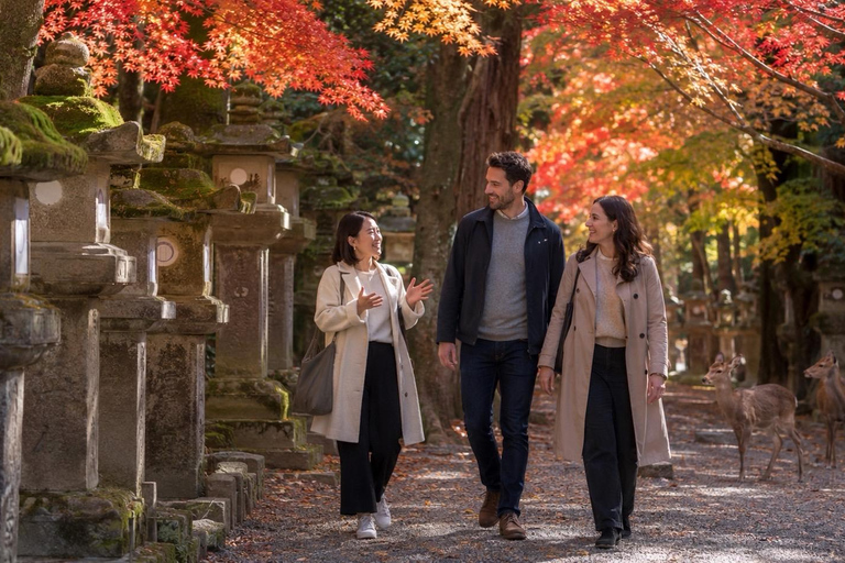 Nara: Autumn Colors, Deer & Historic Park Walk Early Bird 20% Off – Limited Autumn Offer