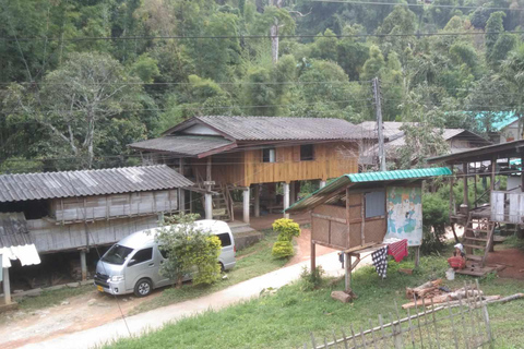 Chiang Mai: Doi Inthanon National Park & Elefantenschutzgebiet