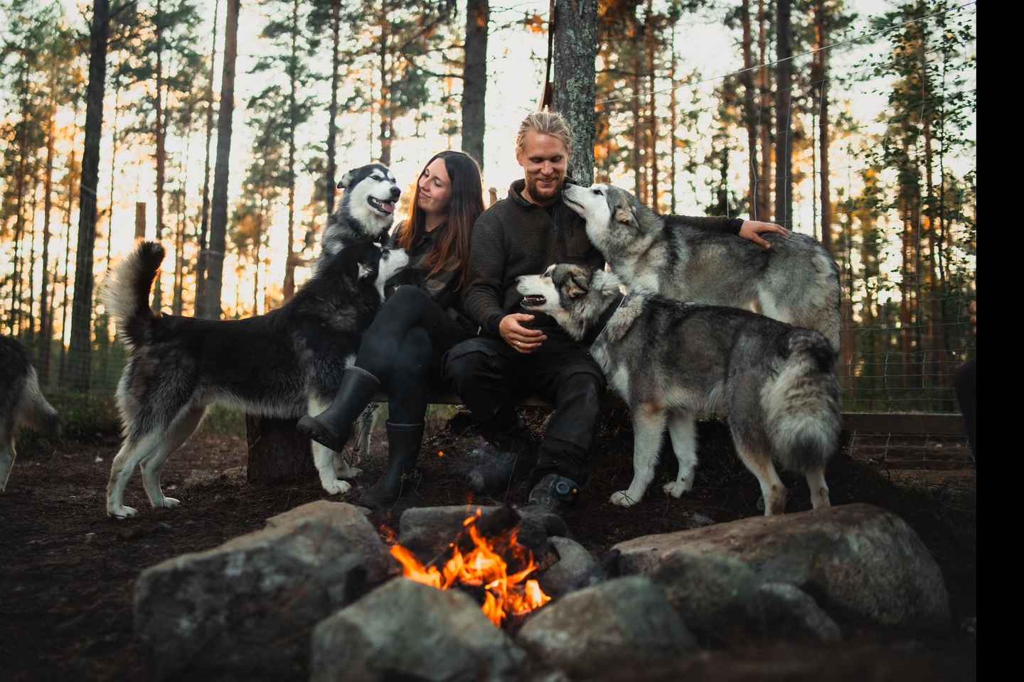 Husky hike followed by a campfire near Skellefteå