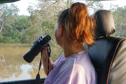 Sigiriya to Wilpattu Safari & Anuradhapura Cultural Day Tour