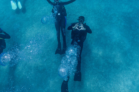 Pico Island: Try Scuba Diving In The Azure Islands