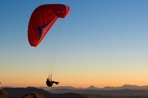 Brisbane: Hop-On/Hop-Off-Bus zum Tamborine Mountain