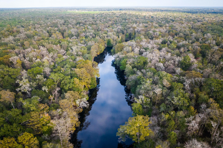 Gilchrist Blue: Clear Kayak Eco Tour