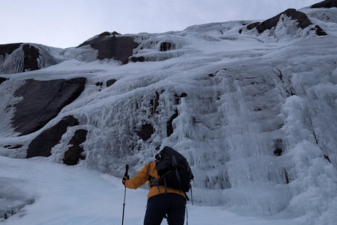 Cairngorms: aventura guiada de senderismo invernal
