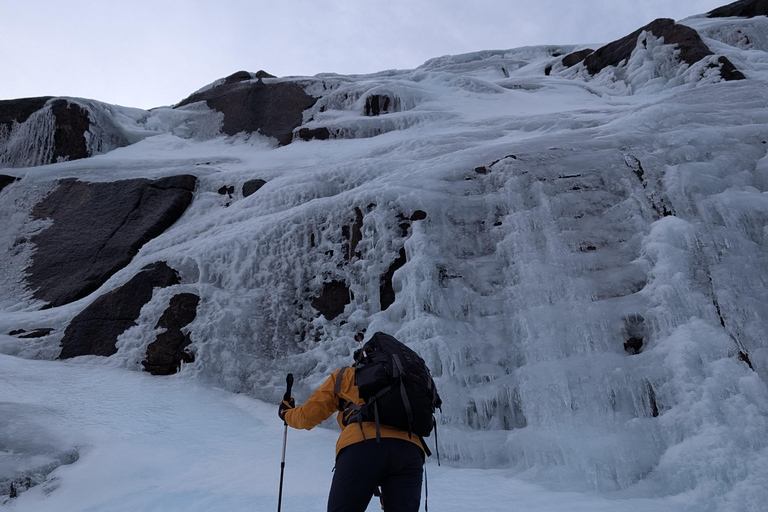 Cairngorms: aventura guiada de senderismo invernal