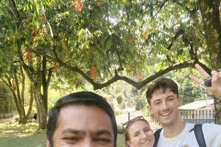 From Sigiriya: Dambulla, Spice Garden, and Kandy Day Trip