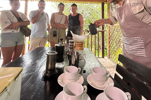 Minca: Varietals Coffee Taste & Marinka Waterfall