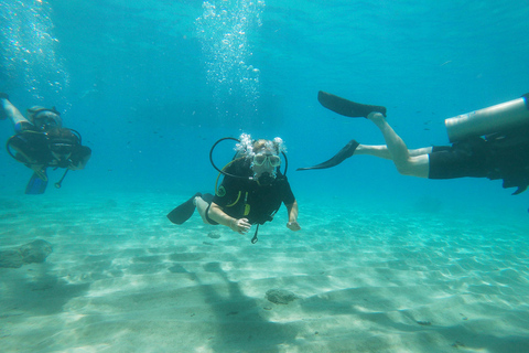 Chania : Essai de plongée sous-marine 2 plongées à terre (recevoir la certification)