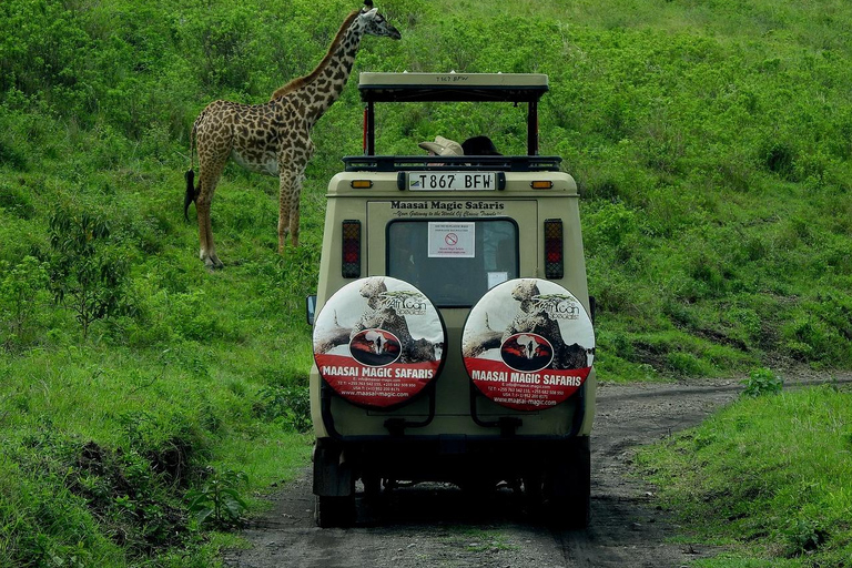 3 Days Mikumi Safari from Zanzibar (Open jeep & Luxury Van)