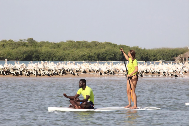 Somone: Guided Group Canoe Tour through the Mangroves Canoe 1 seat