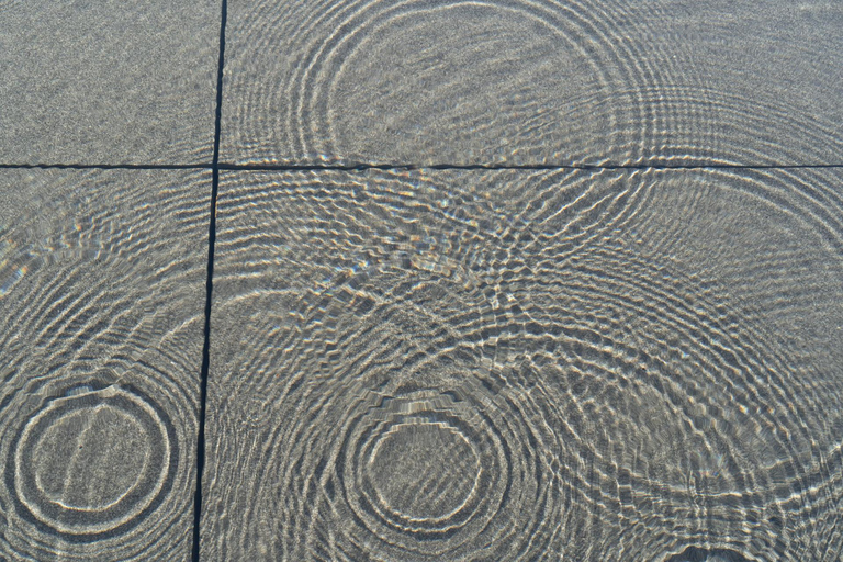 Kanazawa: D.T. Suzuki Museum Zen and Architecture Tour