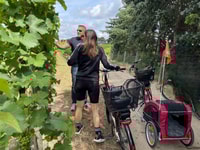 From Potsdam, E-bike tour into the vineyards - Housity