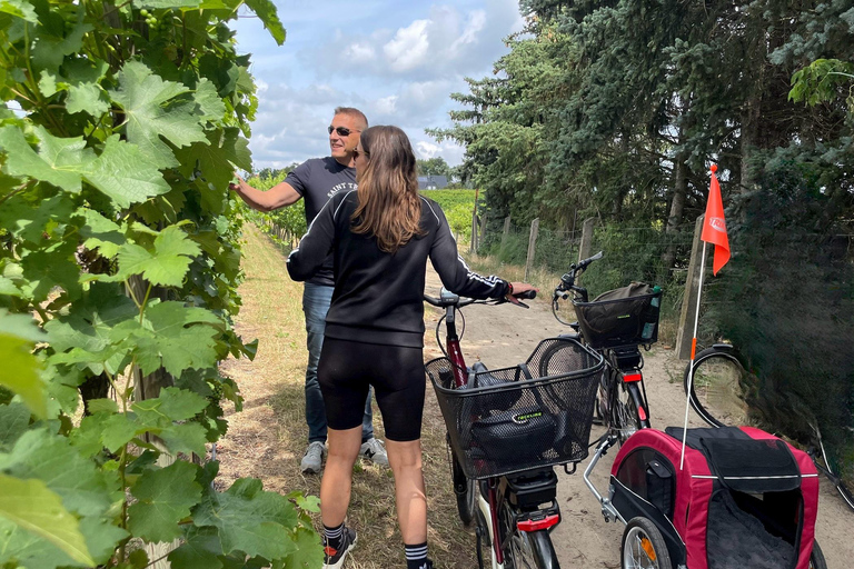 From Potsdam: E-bike tour into the vineyards Potsdam: Wine tour with the e-bike into the vineyards