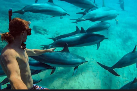 Z NUNGWI; MNEMBA SNORKELING I WYCIECZKA Z DELFINAMI