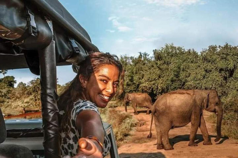 De Galle/Hikkaduwa/Mirissa à Udawalawe Safari Tour