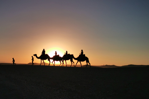 Dinner Show And Sunset Camel Riding At Agafay desert Dinner In Agafay Desert With Camel Ride Private tour