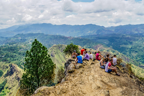 Explorez Ella : randonnée sur les rochers, boucle, cascades, neuf arches et vue sur le trainDécouvrez Ella : randonnée dans les rochers, boucle, chutes d&#039;eau, neuf arches et vue