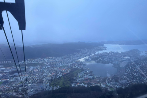 Stavanger: Ulriken Mountain and Bergen Aquarium Guided Tour