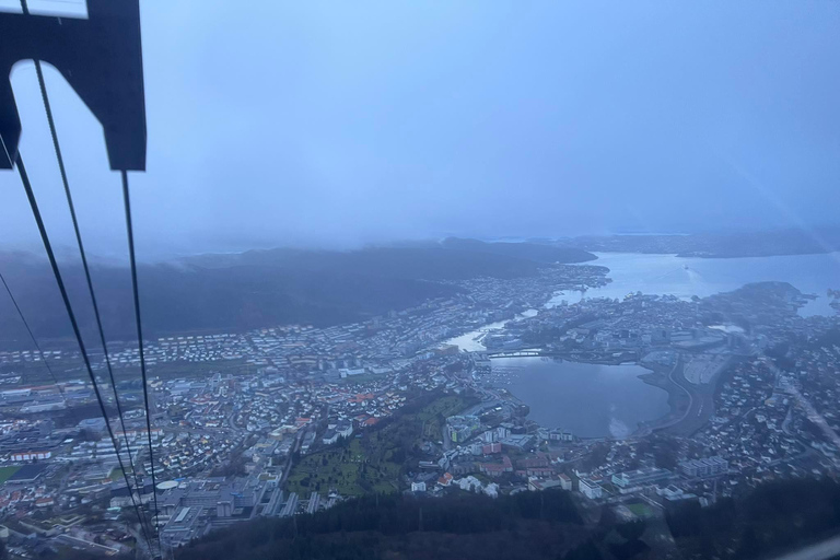 Stavanger: Ulriken Berg en Bergen Aquarium Rondleiding