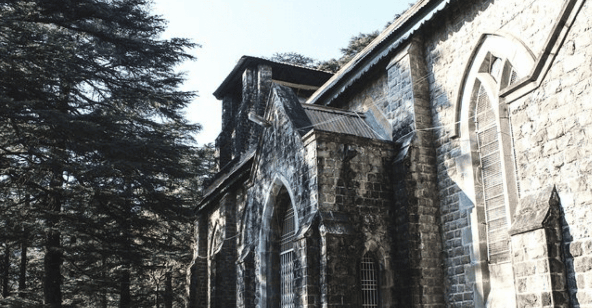 Mcleodganj Nature Trek (3 Hours Guided Walking Tour) - Housity