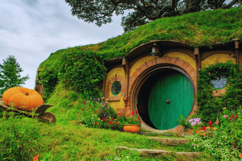 Private Day Tour: Waitomo Glowworms & Hobbiton Movie Set