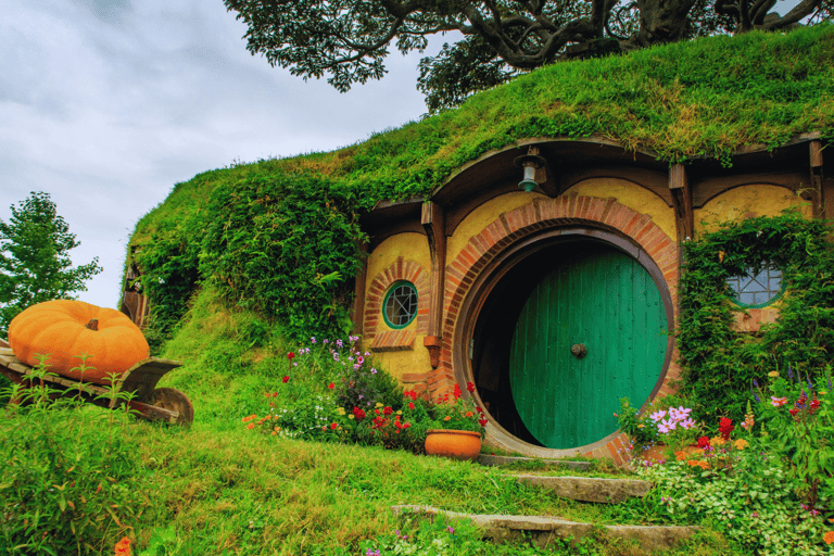 Private Day Tour: Waitomo Glowworms & Hobbiton Movie Set