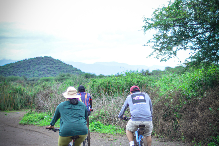 Waterfalls and Coffee tour Bike tour