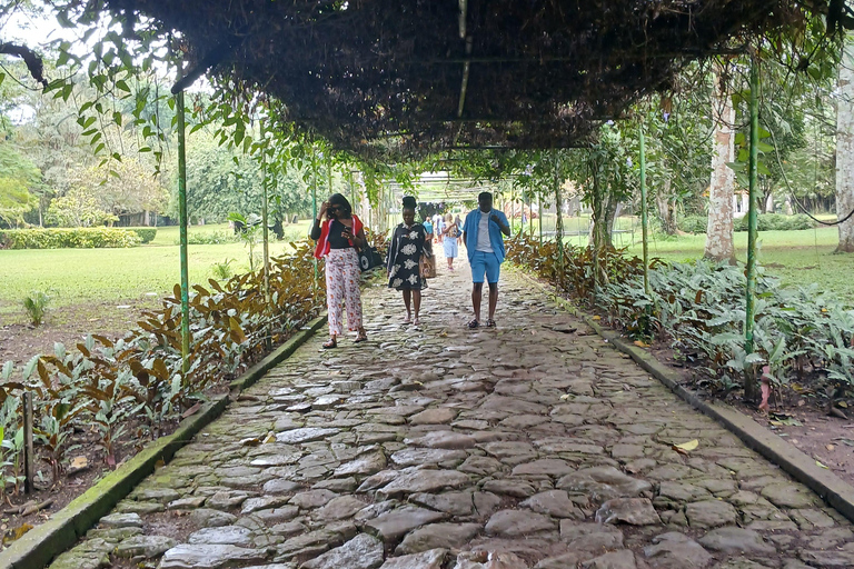 Aburi: Aventuras com experiência de Quadriciclo