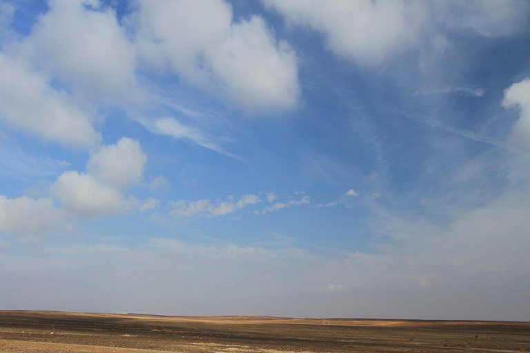History & Nature: Azraq Wetland Reserve and Desert Castles