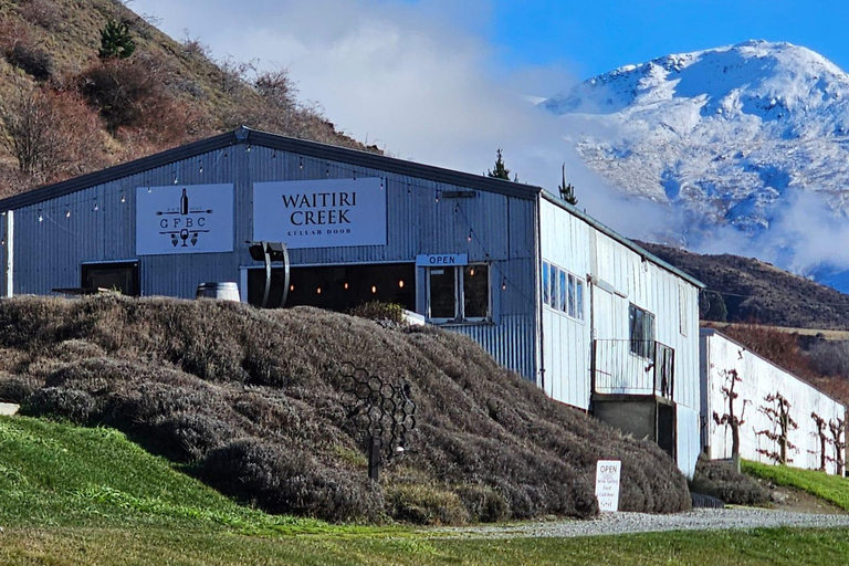 Queenstown: Winery Loop by Ebike & Take-Home Bottle of Wine