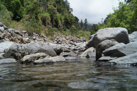 From Funchal: Levada Nova Hiking Tour with stopover at beach Nova friday