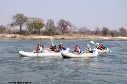 Victoria Falls: Canoeing - Upper Zambezi (Day Trail)