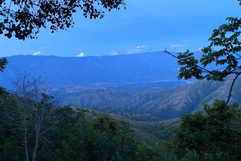 Medellín: tour coloniale di un'intera giornata con guidaMedellin: tour coloniale di un'intera giornata con guida