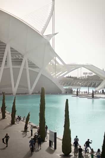 Valencia: City of Arts and Sciences Private Guided Tour