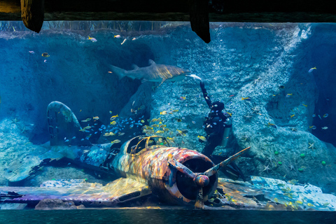 Bilet łączony National Aquarium i Adrenark Adventure