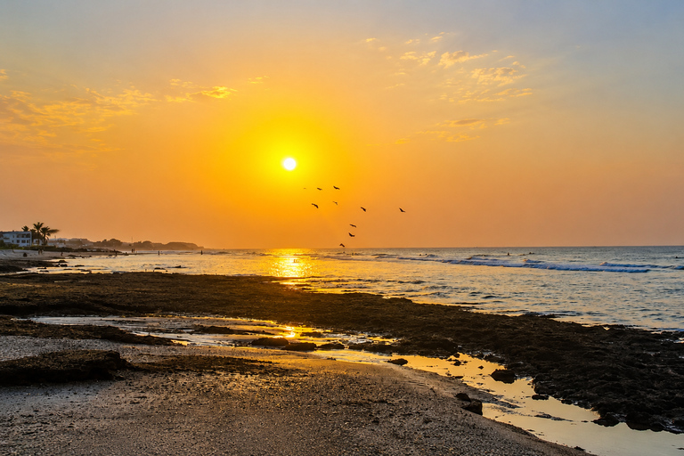Muscat: Adventure in Muscat 4 Hours with Sunset & Transfer