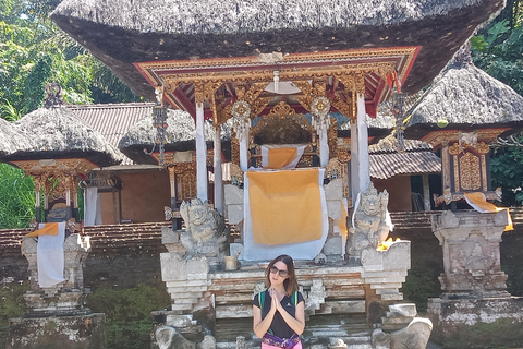 Alquiler de coches: La mejor excursión por las cascadas y terrazas de arroz de Ubud8 horas en coche Terrazas de arroz, cascadas, templo del agua