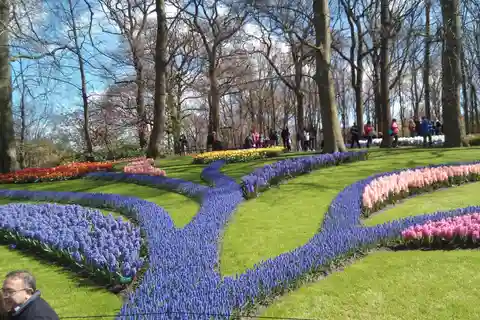 Gruppentour auf Italienisch: Keukenhof Park + Zaanse Schans Mühlen