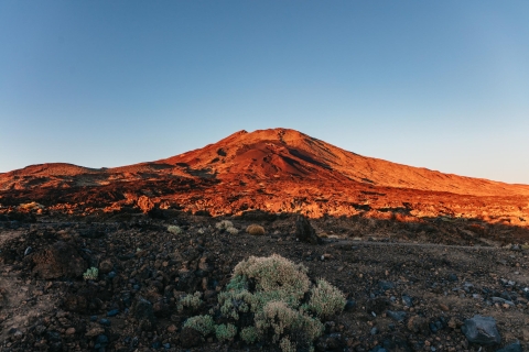 Teide: Sunset and Night Tour with Stargazing and Pickup Pickup from South Tenerife