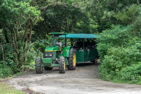 Rincón de la Vieja: Pass giornaliero Eco Adventure 12 in 1