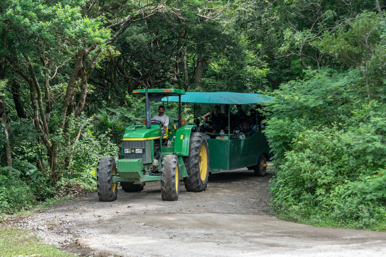 Rincón de la Vieja: Pass giornaliero Eco Adventure 12 in 1