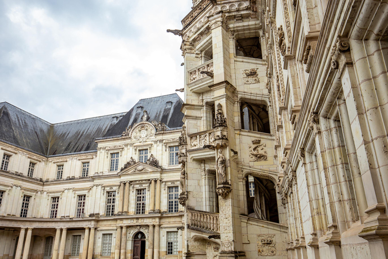 Loire Valley Château of Blois & Wine Tasting Experience