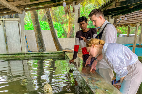 Madu River Boat Safari & Traditional Mask Workshop Visit Pick-up From: Hikkaduwa