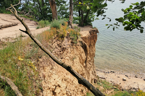 Gdynia: Forest, Cliff, and Beach Guided Walking Tour