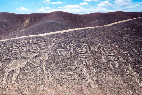 Desde Nazca: Casa Museo María Reiche y Excursión Panamericana